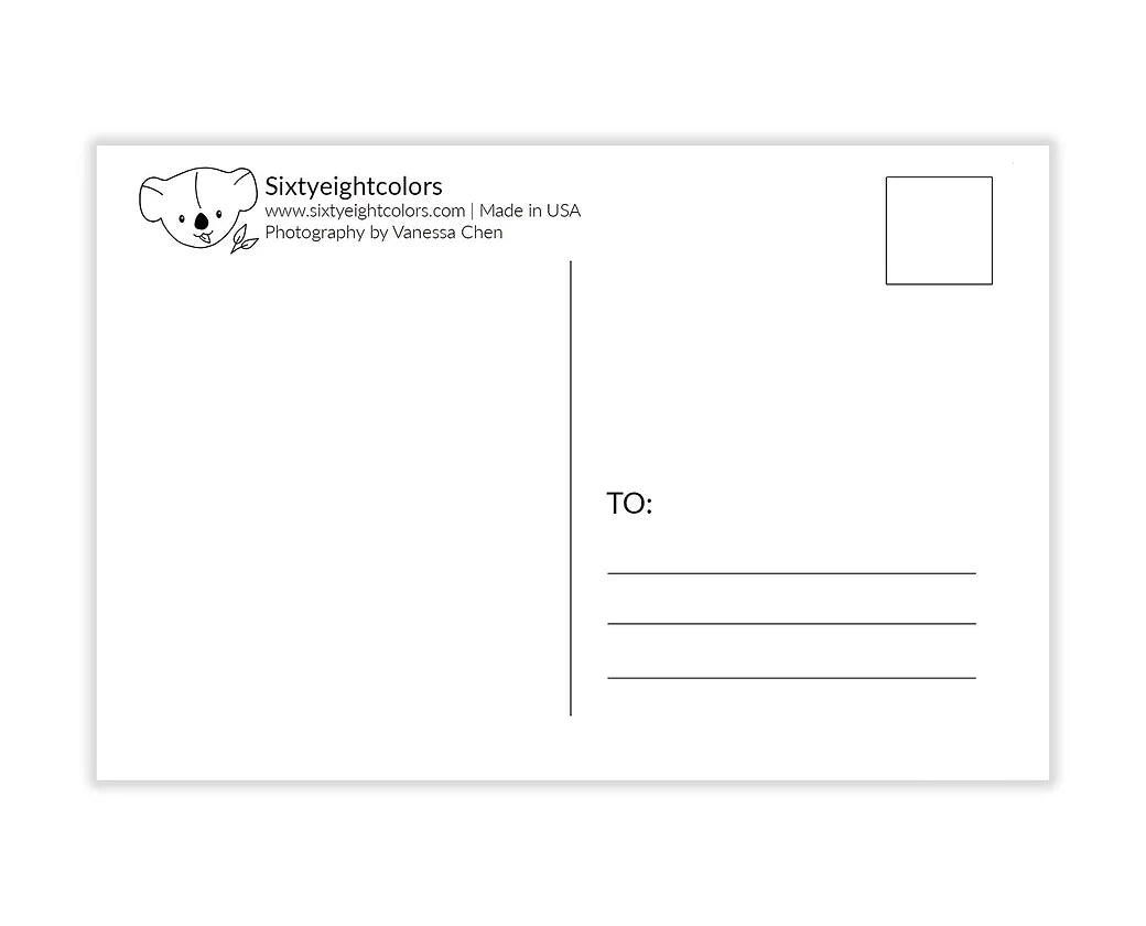 Butterfly Postcard