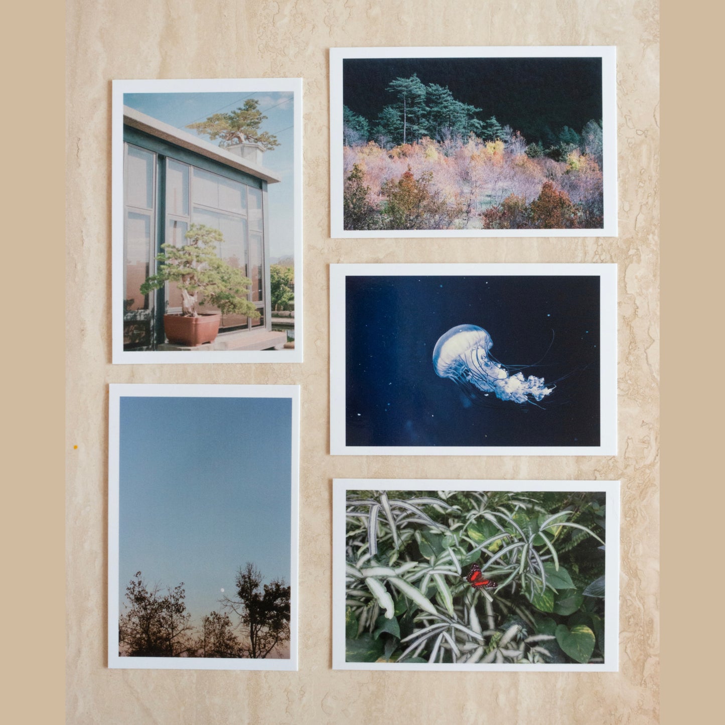 Set of 5 Postcards