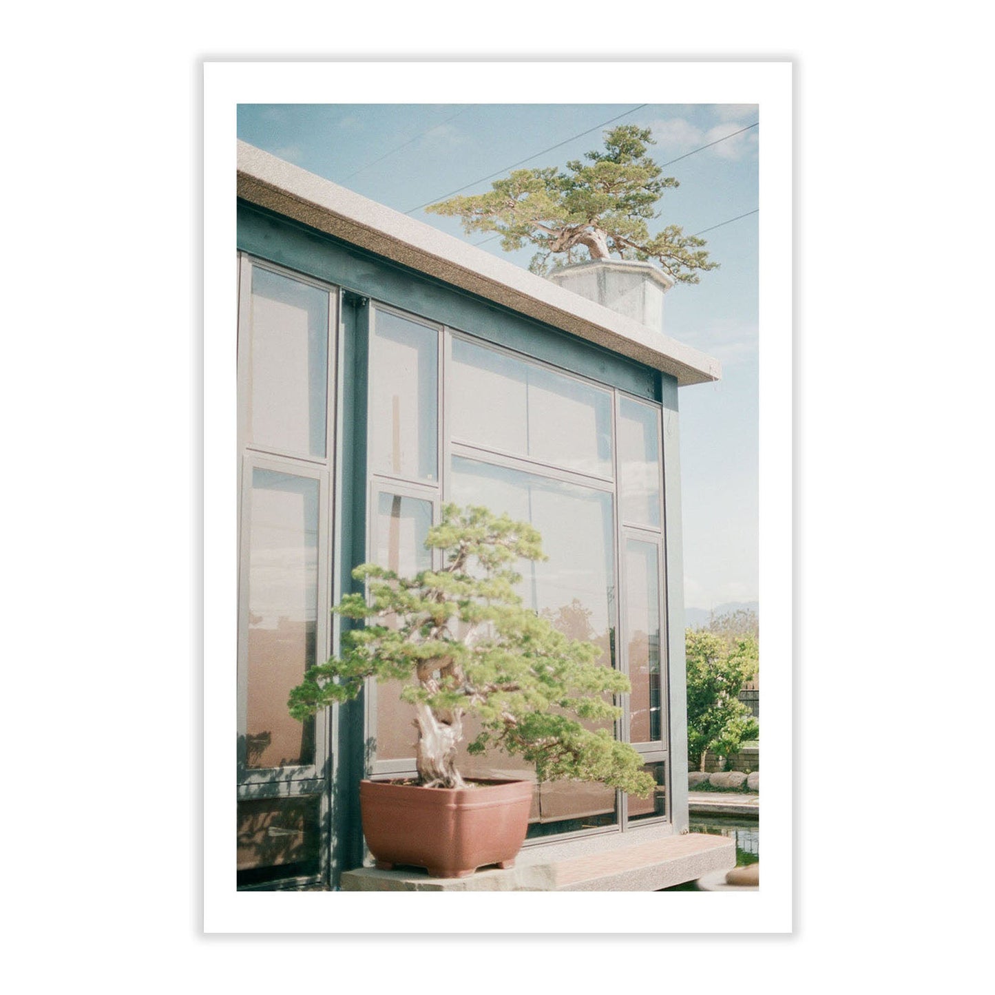 Set of 5 Postcards