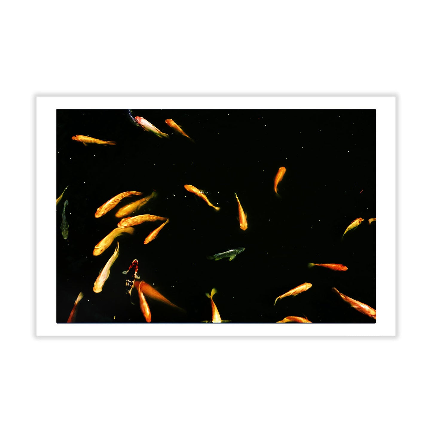 Set of 5 Postcards