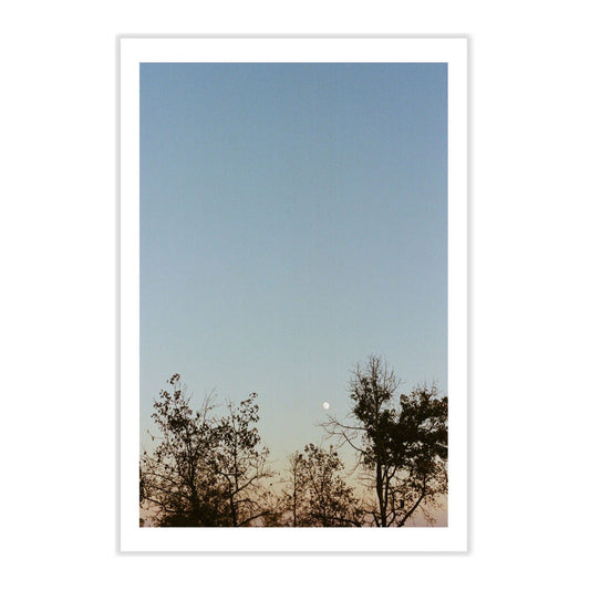 Daytime Moon Postcard