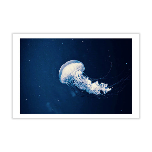 Jellyfish Postcard