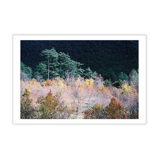 Taiwan Mountains Postcard